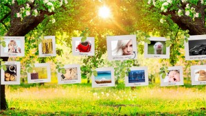 Photo Gallery on a Sunny Afternoon Prezi template