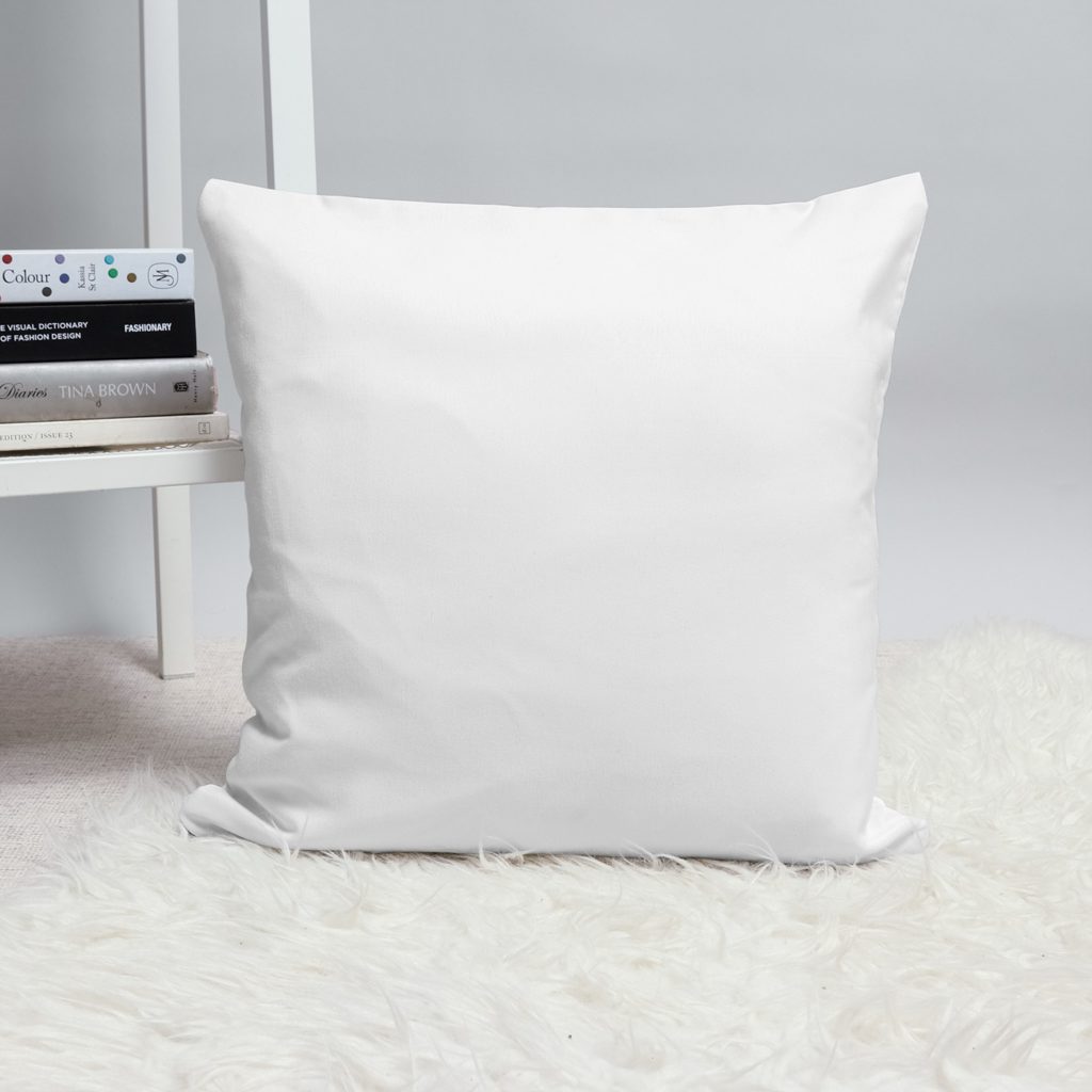 A pillow on a furry rug next to a white bookshelf.